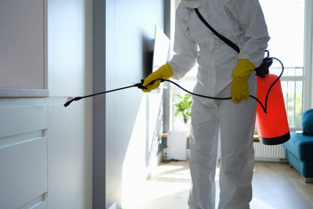 Best Professional Mold Removal  in East Helena, MT