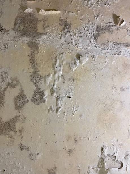Water Damage Restoration in East Helena, MT